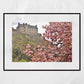 Edinburgh Castle Photography Print Cherry Blossom Wall Art