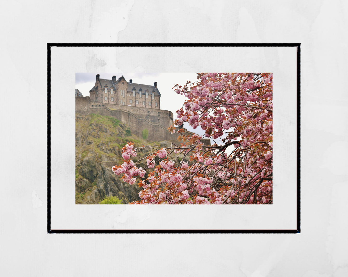 Edinburgh Castle Photography Print Cherry Blossom Wall Art