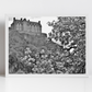 Edinburgh Castle Black And White Photography Print Cherry Blossom Wall Art