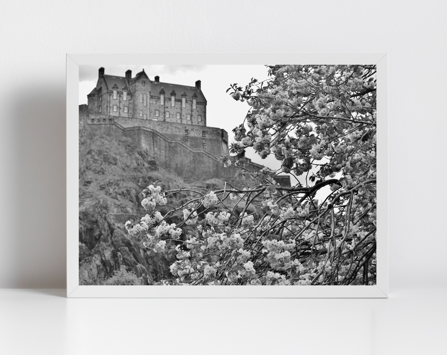 Edinburgh Castle Black And White Photography Print Cherry Blossom Wall Art