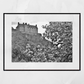 Edinburgh Castle Black And White Photography Print Cherry Blossom Wall Art