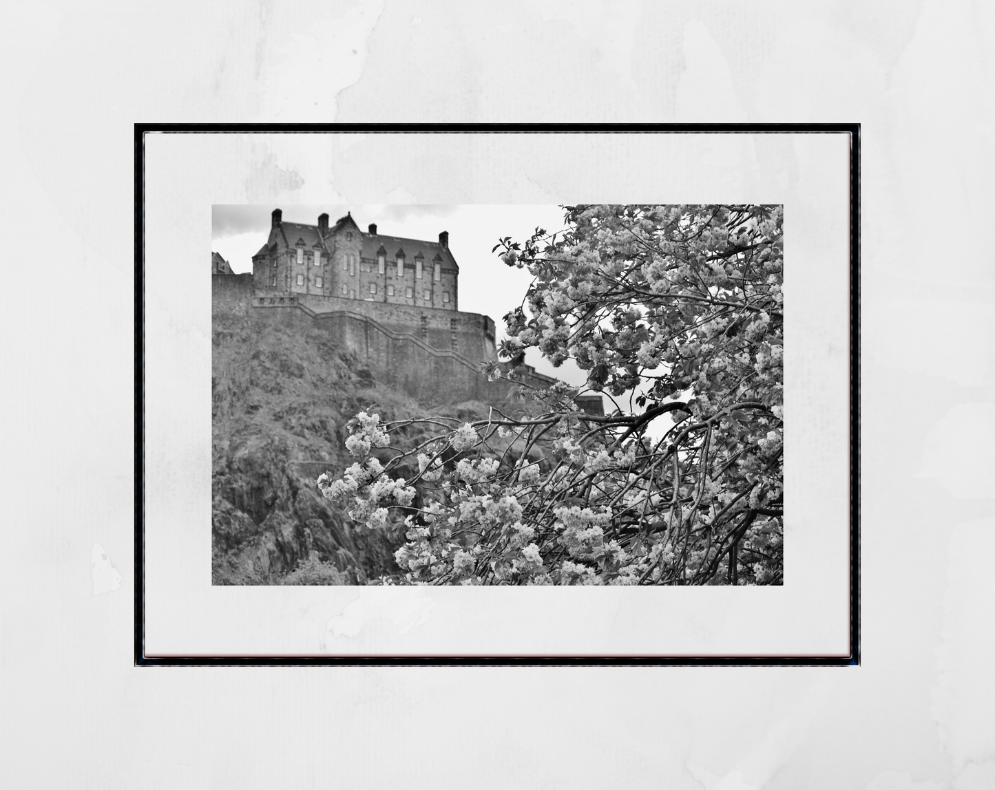 Edinburgh Castle Black And White Photography Print Cherry Blossom Wall Art