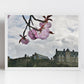 Edinburgh Castle Print Cherry Blossom Wall Art
