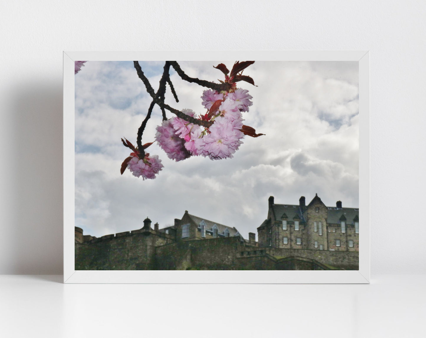 Edinburgh Castle Print Cherry Blossom Wall Art