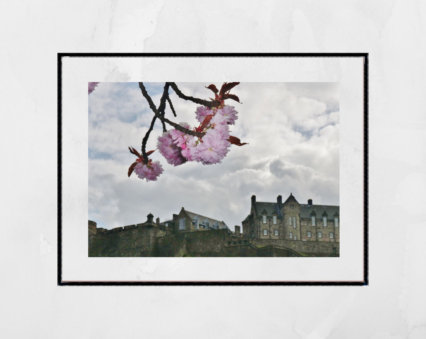 Edinburgh Castle Print Cherry Blossom Wall Art