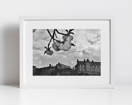 Edinburgh Castle Black And White Print Cherry Blossom Wall Art