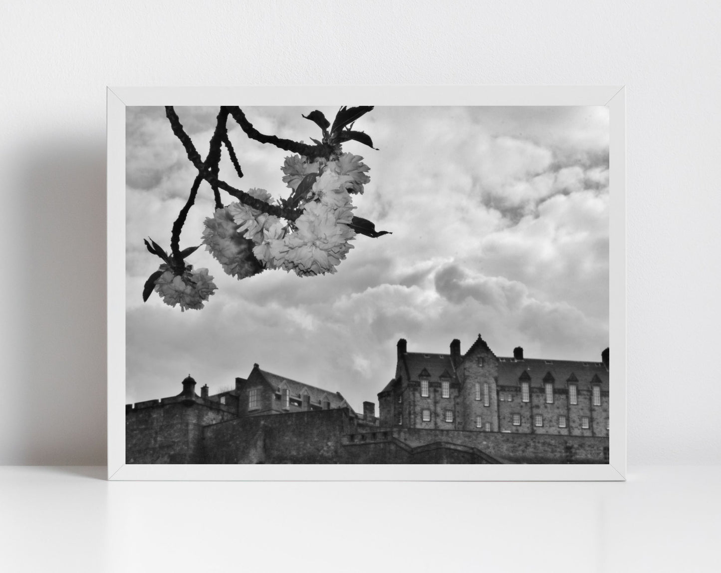 Edinburgh Castle Black And White Print Cherry Blossom Wall Art