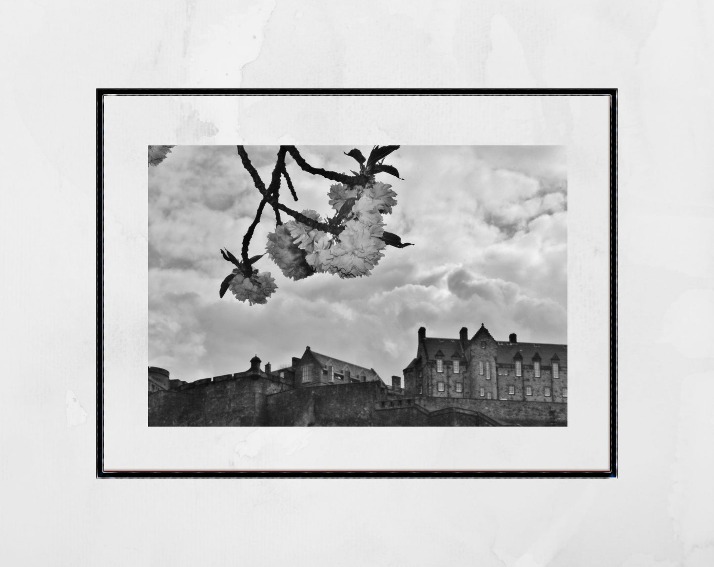 Edinburgh Castle Black And White Print Cherry Blossom Wall Art