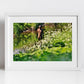 Water Of Leith Edinburgh Antony Gormley Photography Print