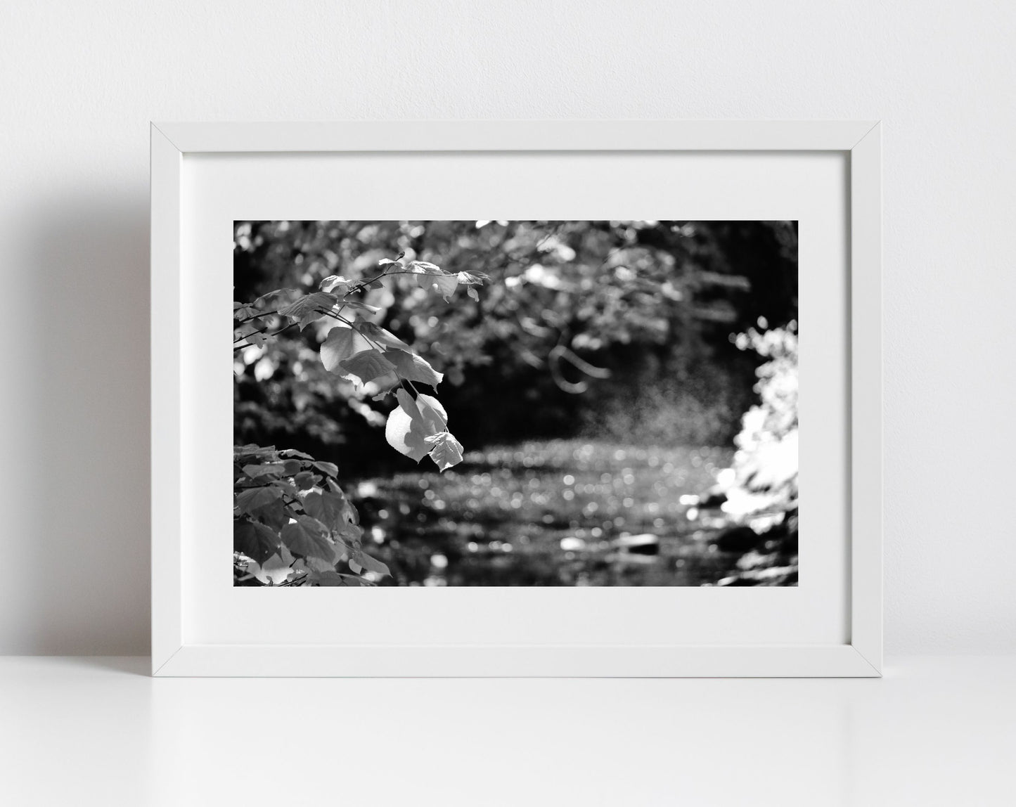 Water Of Leith Edinburgh Nature Black And White Photography Print