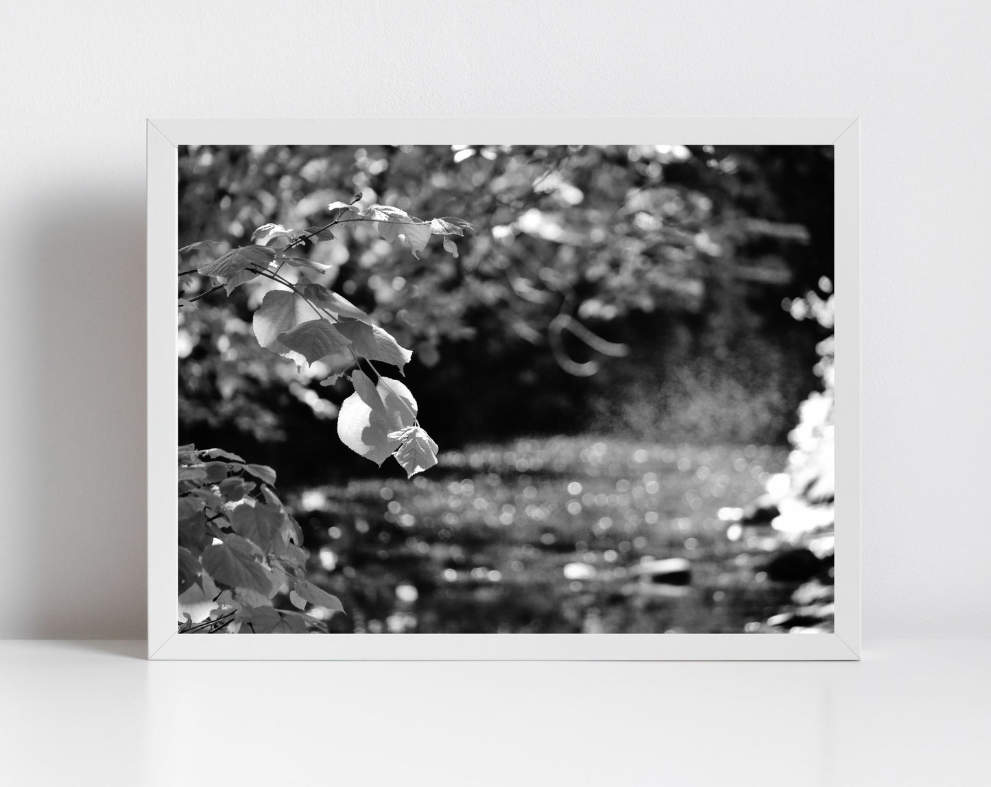 Water Of Leith Edinburgh Nature Black And White Photography Print