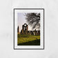 Arbroath Abbey Photography Print