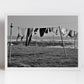 Arbroath Scotland Landscape Black And White Photography Print