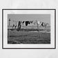 Arbroath Scotland Landscape Black And White Photography Print
