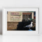 Arbroath Scotland Photography Print Seagull Wall Art