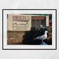 Arbroath Scotland Photography Print Seagull Wall Art