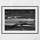 Arbroath Scotland Black And White Photography Print Coastal Wall Art (Copy)