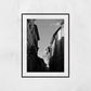 Bologna Italy Black And White Photography Print