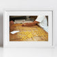 Bologna Italy Photography Tortellini Print