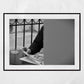 Street Fine Art Black And White Photography Bologna Italy Print