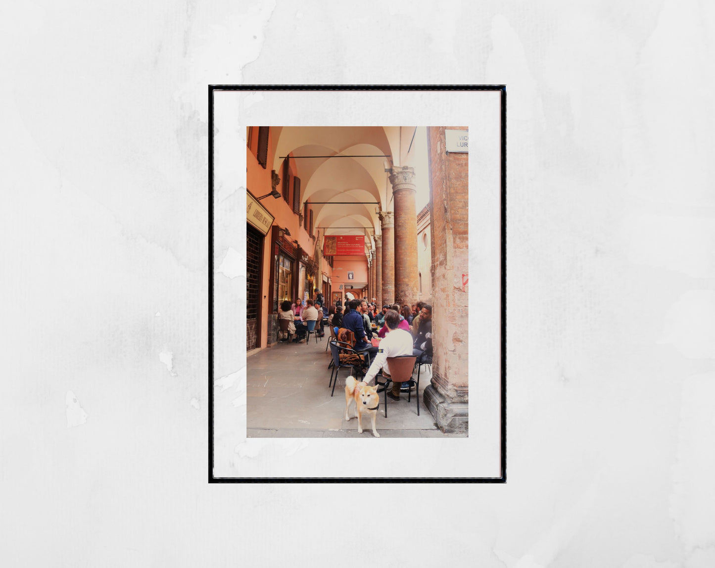 Bologna Italy Dog Photography Print