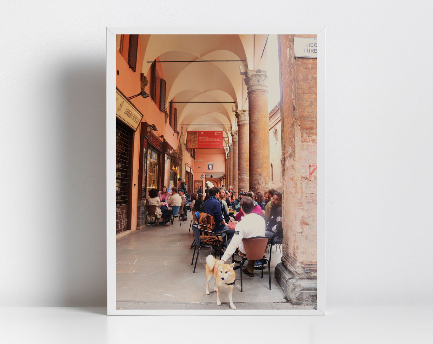 Bologna Italy Dog Photography Print