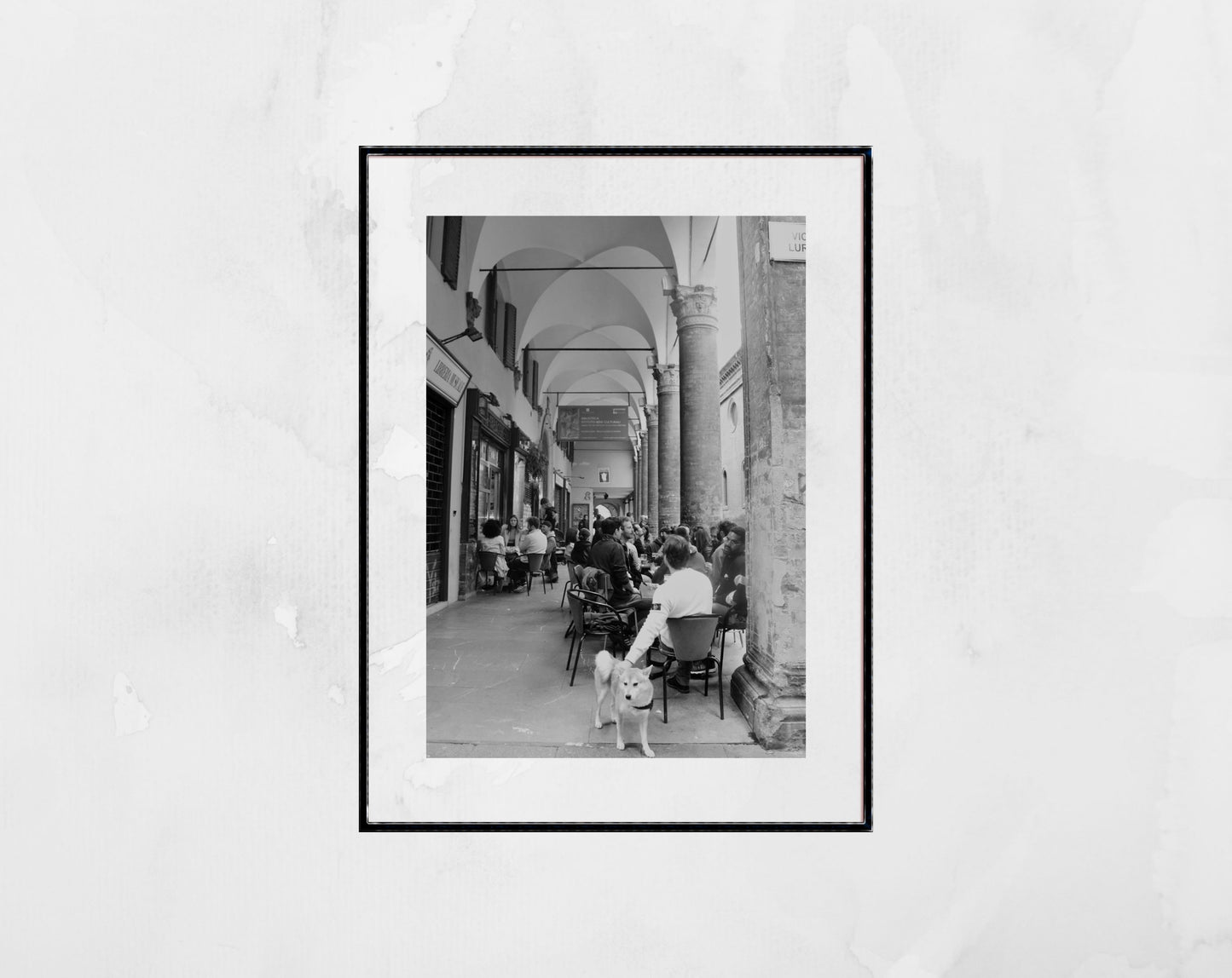 Bologna Italy Dog Black And White Photography Print