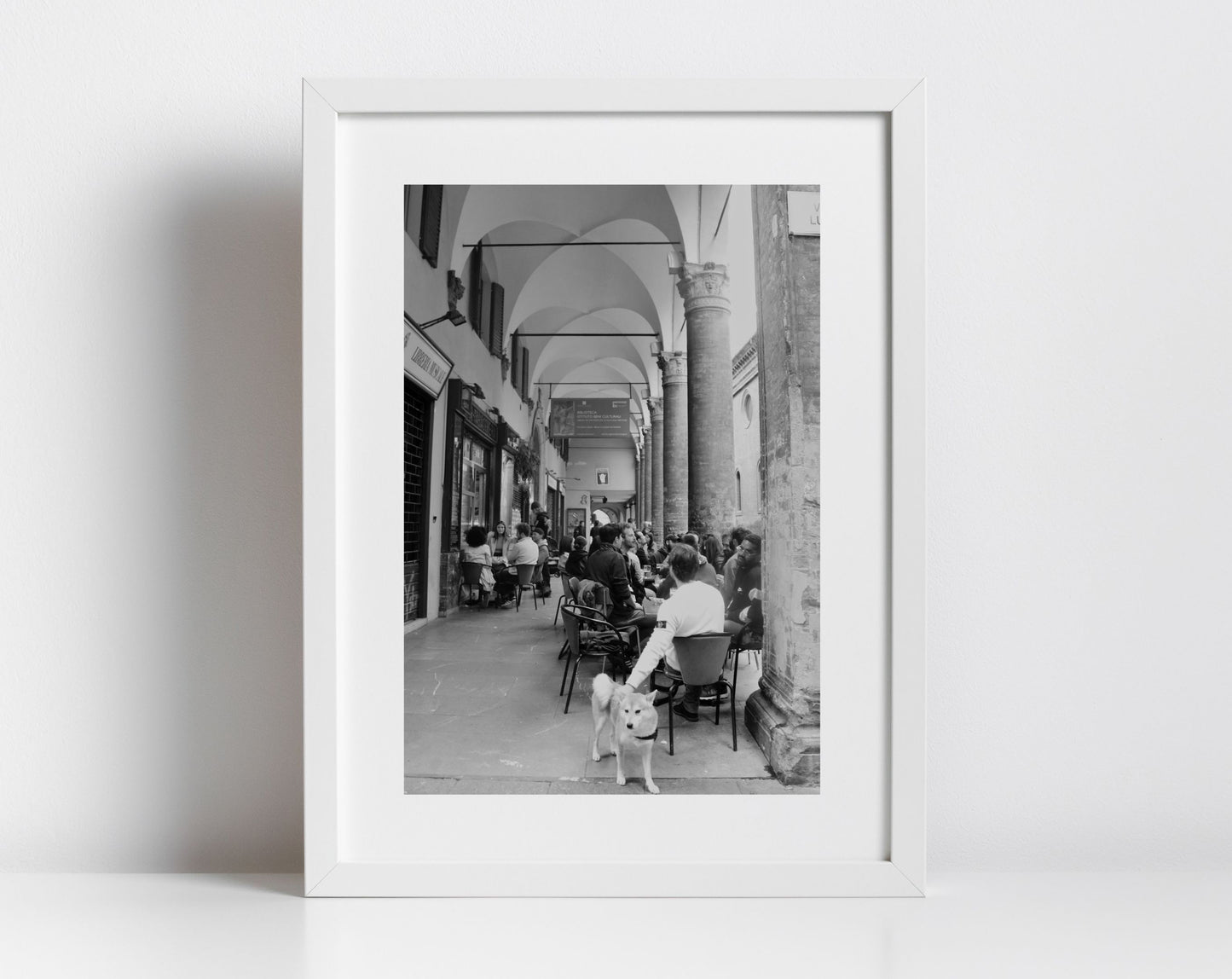 Bologna Italy Dog Black And White Photography Print