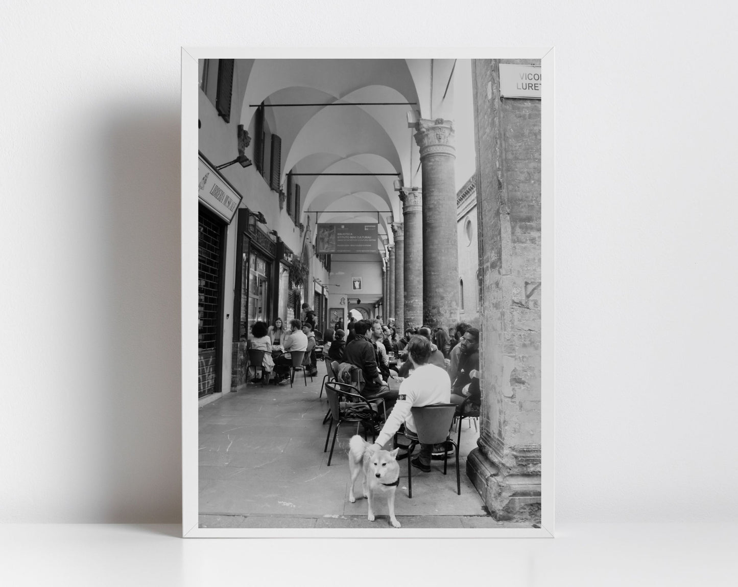 Bologna Italy Dog Black And White Photography Print