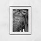 Via Farini Bologna Fine Art Black And White Photography Print