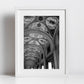 Via Farini Bologna Fine Art Black And White Photography Print