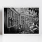 India Black And White Photography Print: Matheran Toy Train
