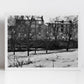 Glasgow Tenement West End Kelvingrove Park Photography Print