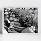 Florence Italy Vespas Black And White Photography Art Print