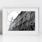 Bologna Street Black And White Photography Print