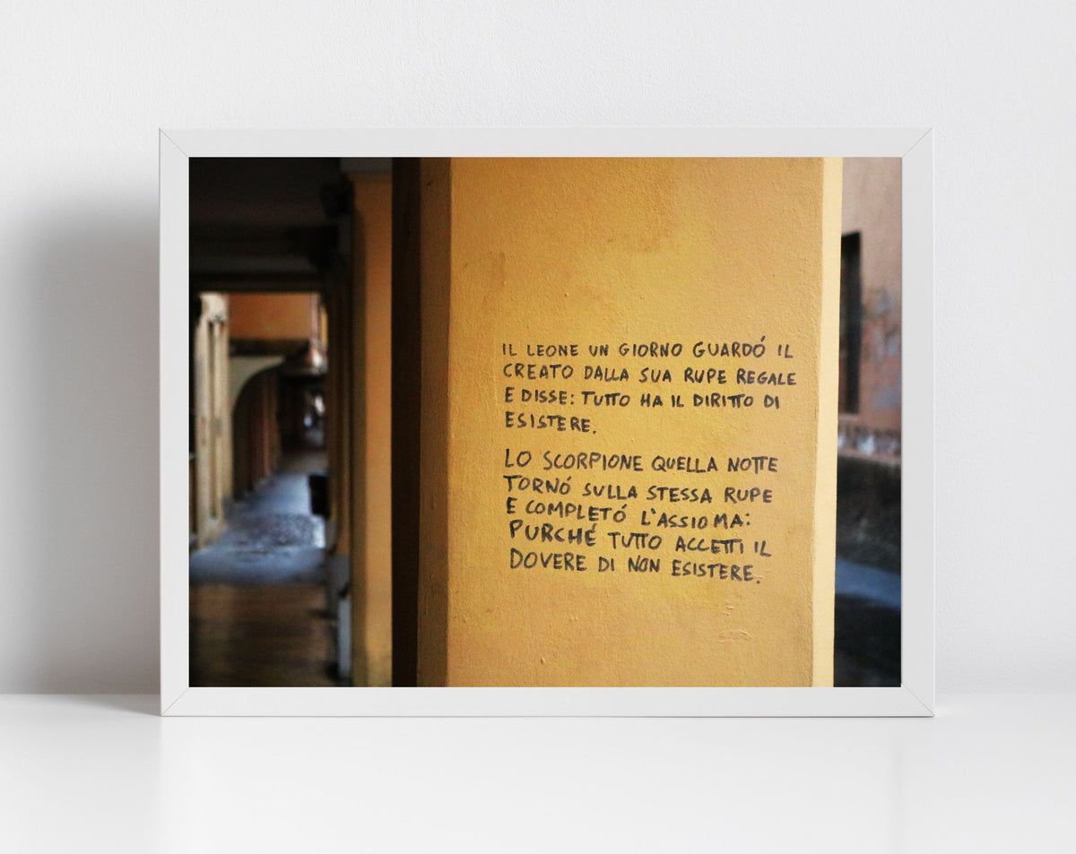 Italian Graffiti Bologna Photography Print