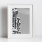Barcelona Casa Batlló Gaudi Black And White Photography Print