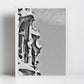 Barcelona Casa Batlló Gaudi Black And White Photography Print