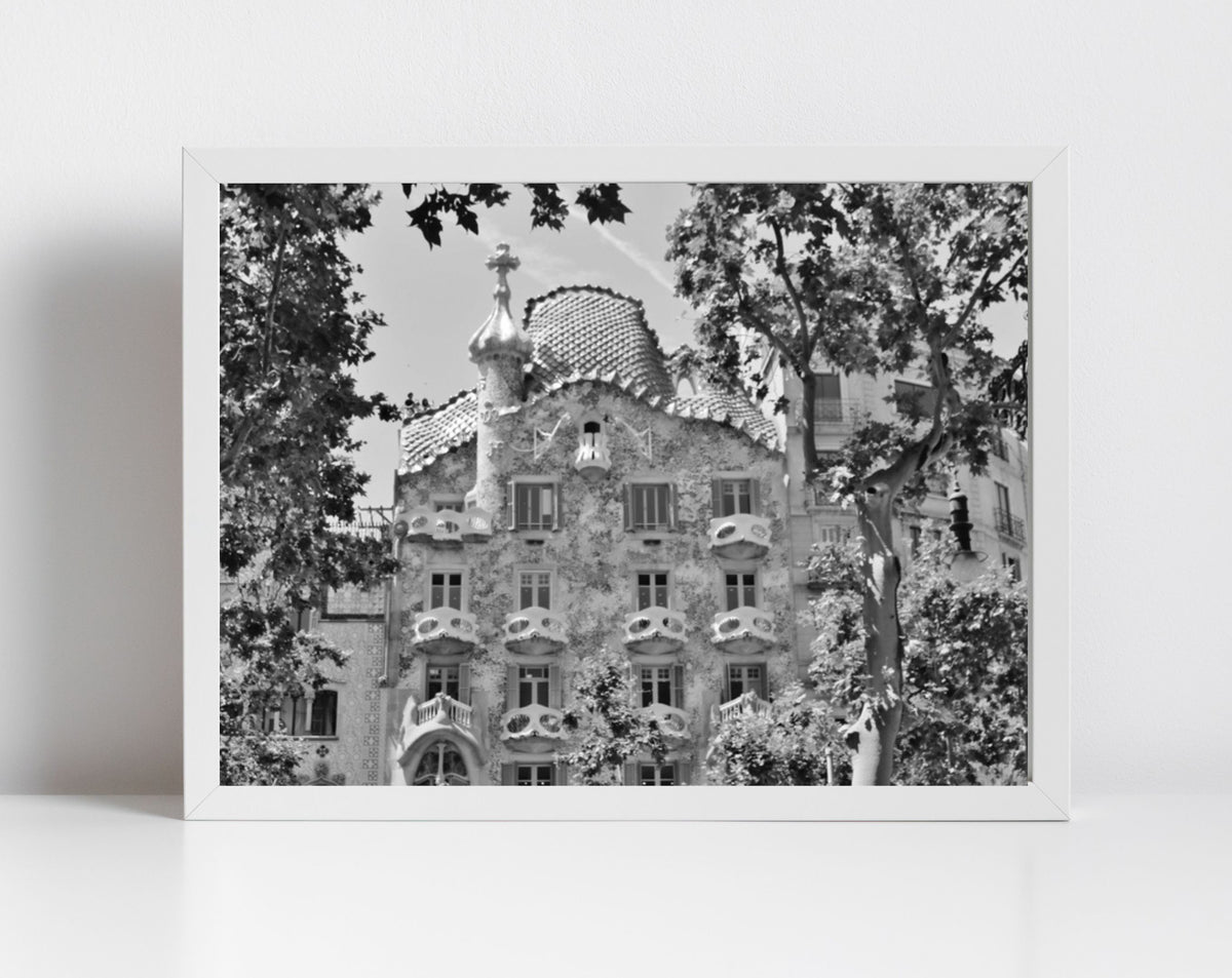 Casa Batlló Gaudi Black And White Photography Art Print
