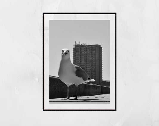 Margate Black And White Photography Print Seagull Wall Art