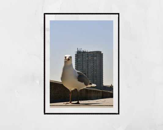 Margate Photography Print Seagull Wall Art