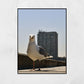Margate Photography Print Seagull Wall Art