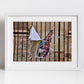 Urban Fine Art Photography Religious Icon Wall Art Palermo Sicily Print