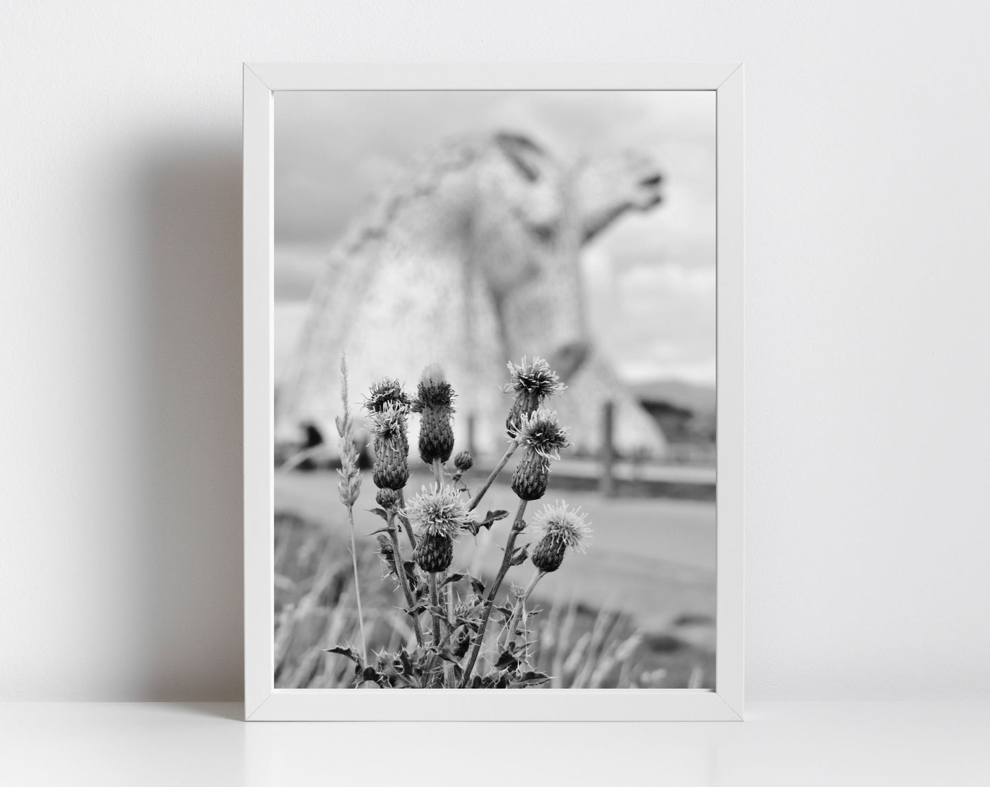 Falkirk Kelpies Scottish Thistle Black And White Print