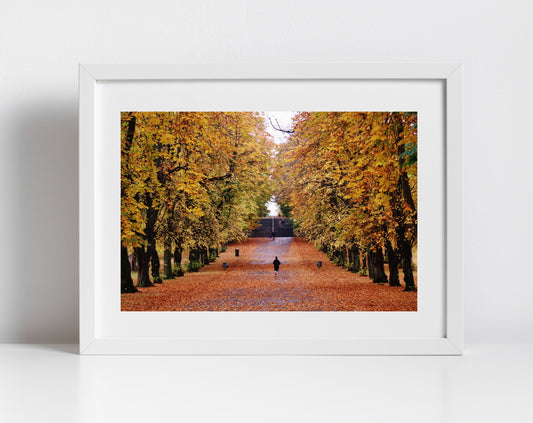 Glasgow Queen's Park Autumn Fall Foliage Photography Print Poster Wall Art