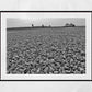 Folkestone Photography Pebble Beach Black And White Print