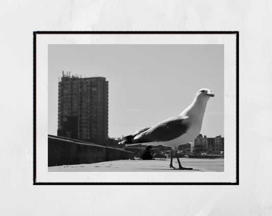 Margate Black And White Photography Print Seagull Wall Art