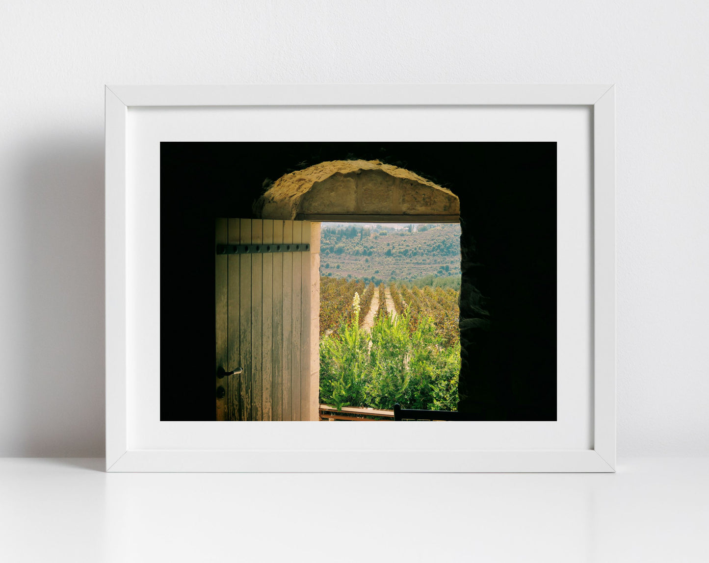 Batroun Lebanon Vineyard Photography Print