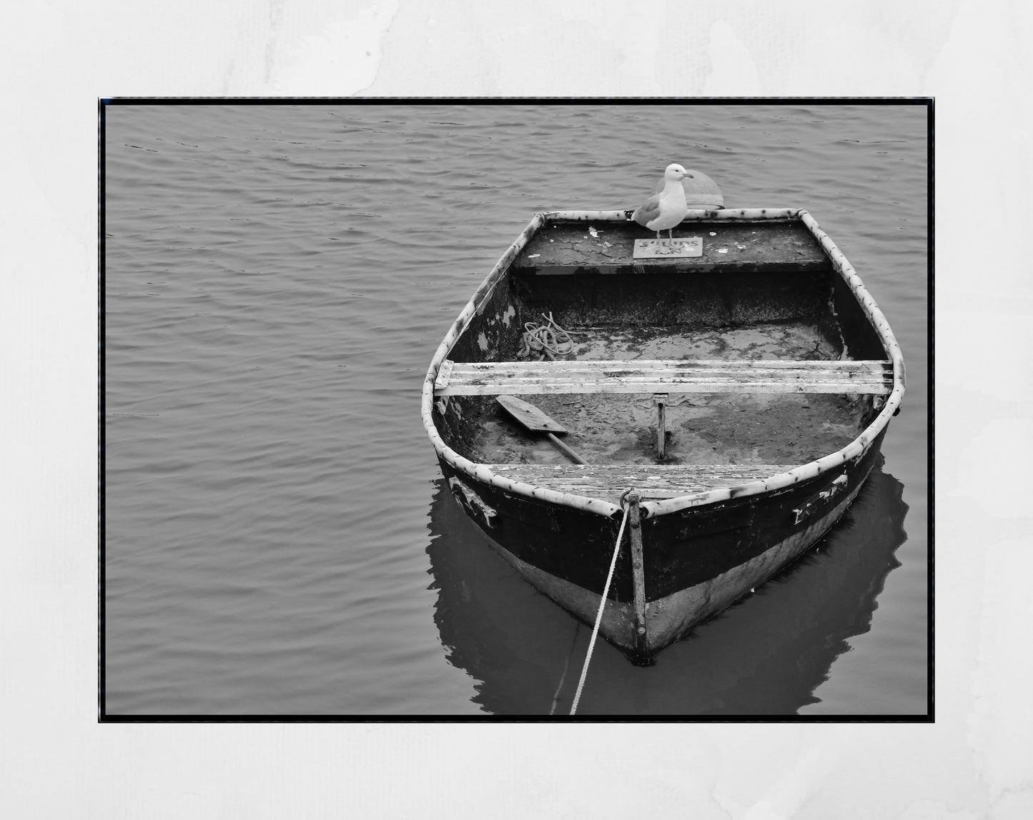 Folkestone Boat Black And White Photography Print Seagull Art