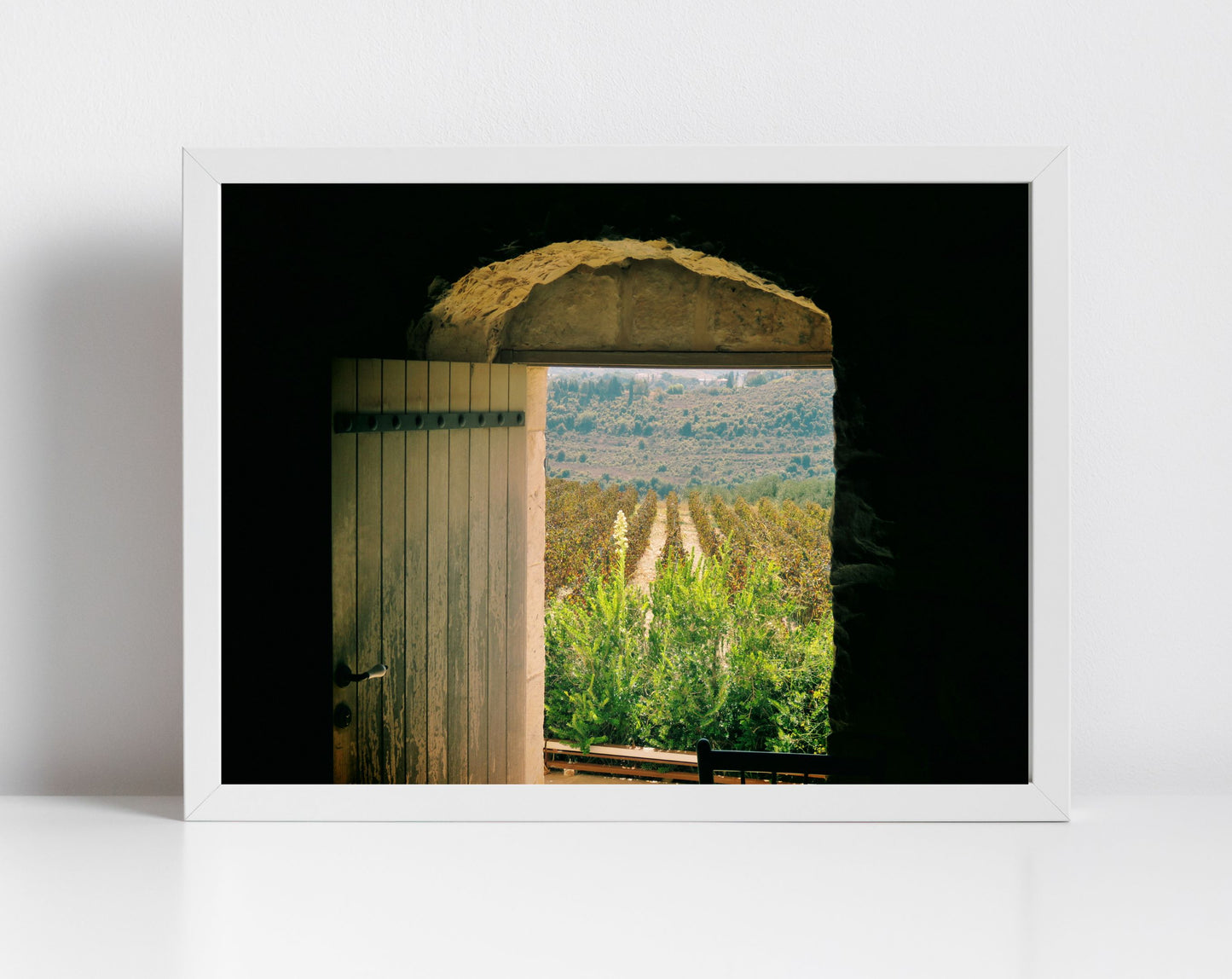 Batroun Lebanon Vineyard Photography Print